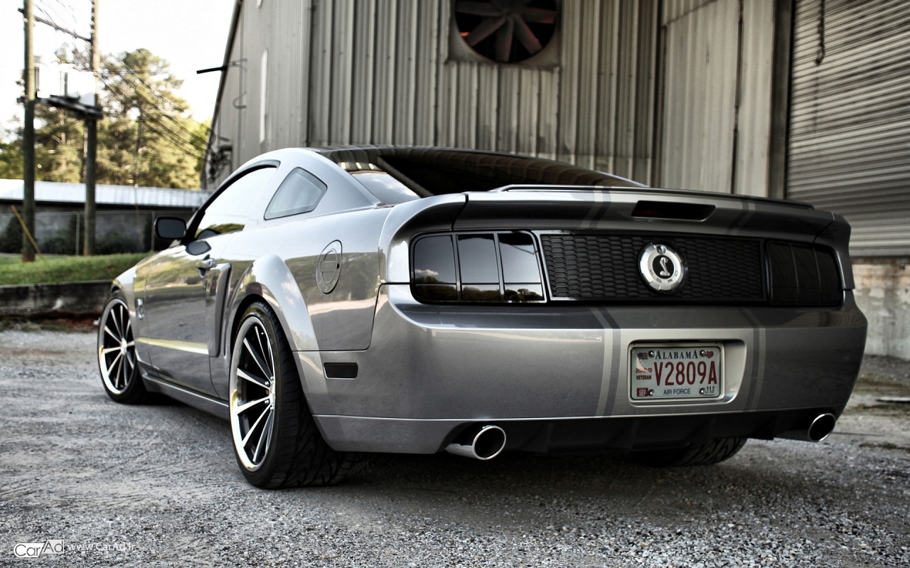 MUSTANG SHELBY